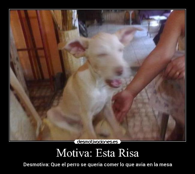 carteles risa motivaperrodesmotivaestarisatornergatorivaljonathanmesamcomerqueria desmotivaciones