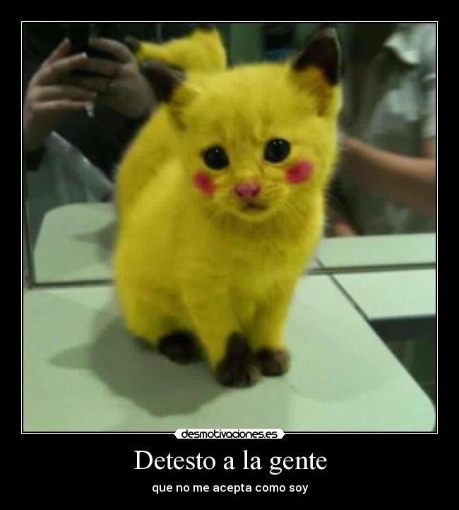 Detesto a la gente -
