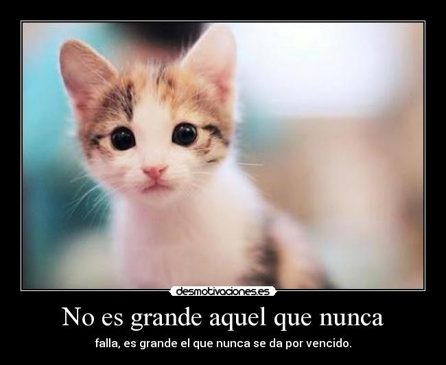 No es grande aquel que nunca - falla, es grande el que nunca se da por vencido.