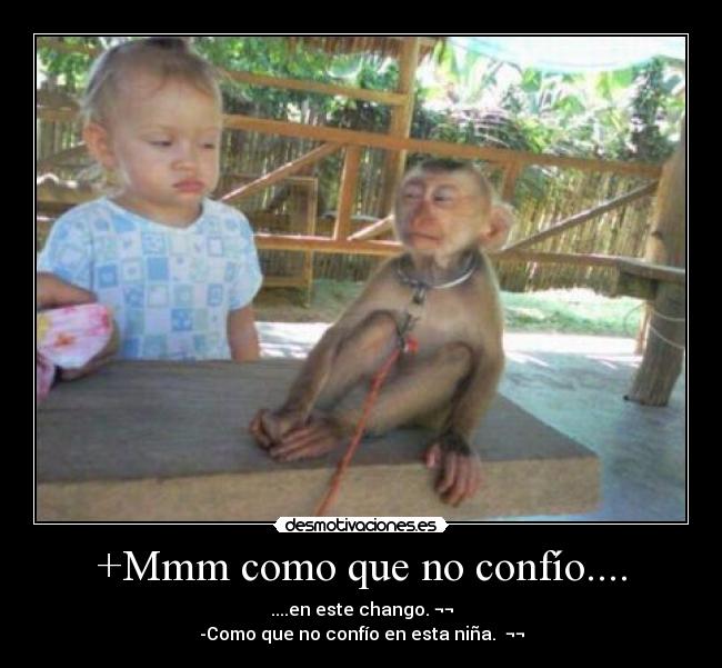 +Mmm como que no confío.... -