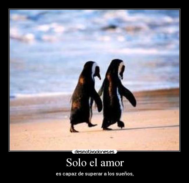 Solo el amor - 