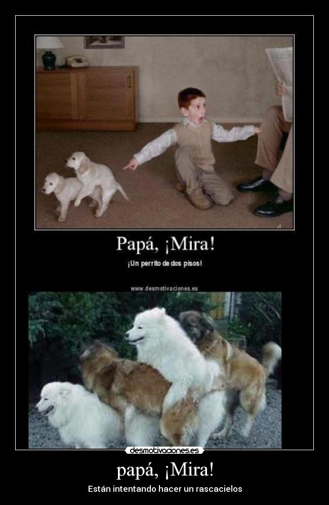papá, ¡Mira! - Están intentando hacer un rascacielos