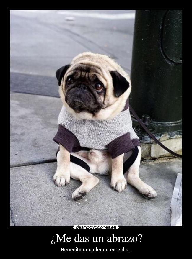 ¿Me das un abrazo? - Necesito una alegría este día...