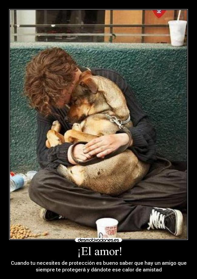 carteles amor para amiga luzmary desmotivaciones