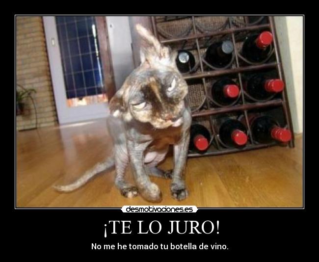 ¡TE LO JURO! - No me he tomado tu botella de vino.