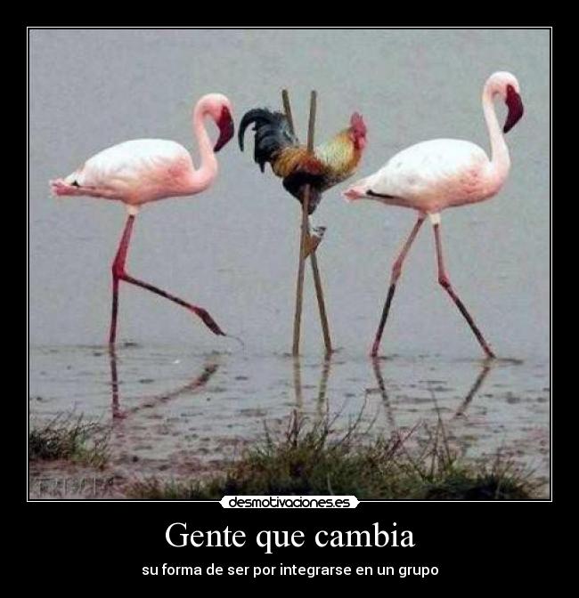 Gente que cambia - 