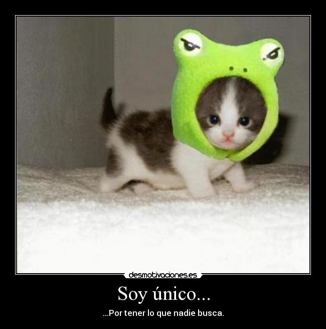 carteles unica especial lalalal desmotivaciones