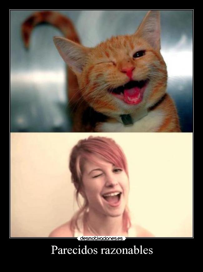 Parecidos razonables -