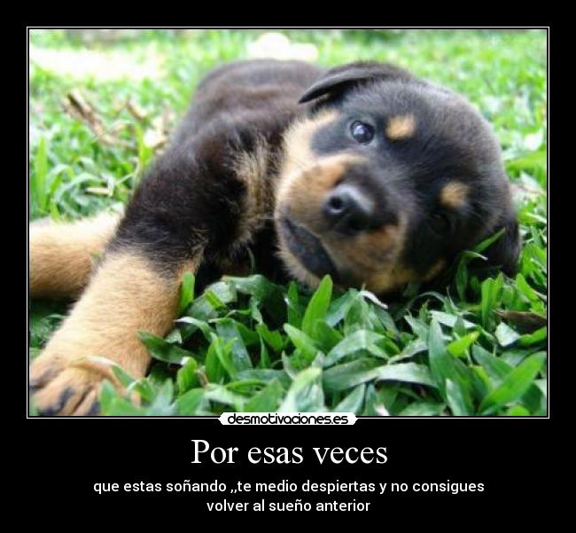 Por esas veces - que estas soñando ,,te medio despiertas y no consigues
volver al sueño anterior