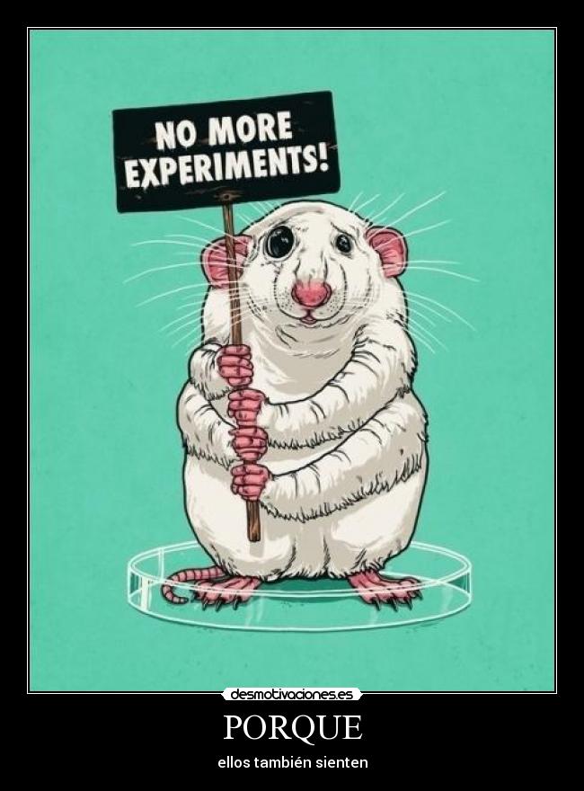 carteles raton laboratorio ratas experimentos mas desmotivaciones