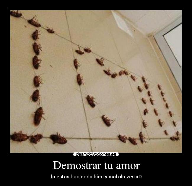 Demostrar tu amor - lo estas haciendo bien y mal ala ves xD