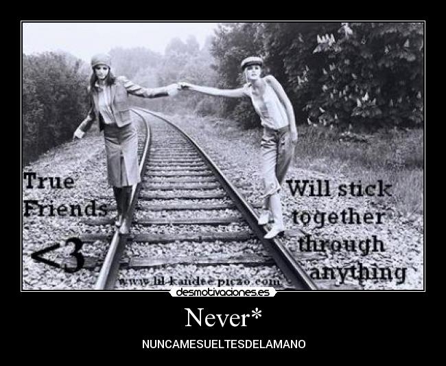 carteles msma desmotivaciones