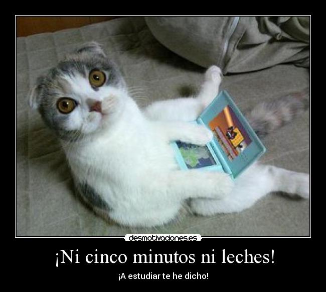 ¡Ni cinco minutos ni leches! -