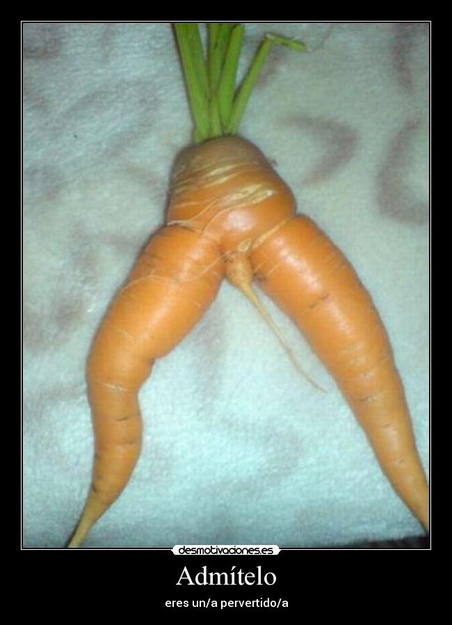 Admítelo - eres un/a pervertido/a