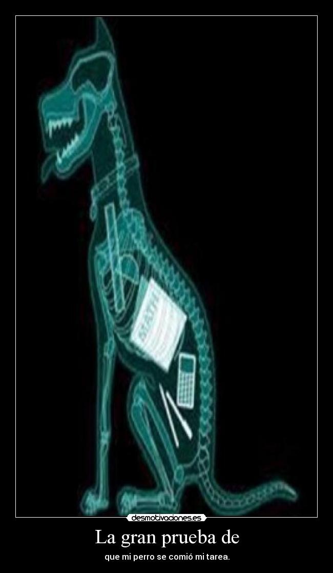 La gran prueba de - que mi perro se comió mi tarea.