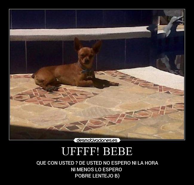 carteles llll desmotivaciones