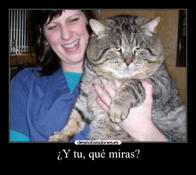 ¿Y tu, qué miras? -