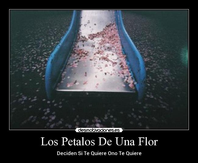 Los Petalos De Una Flor - 