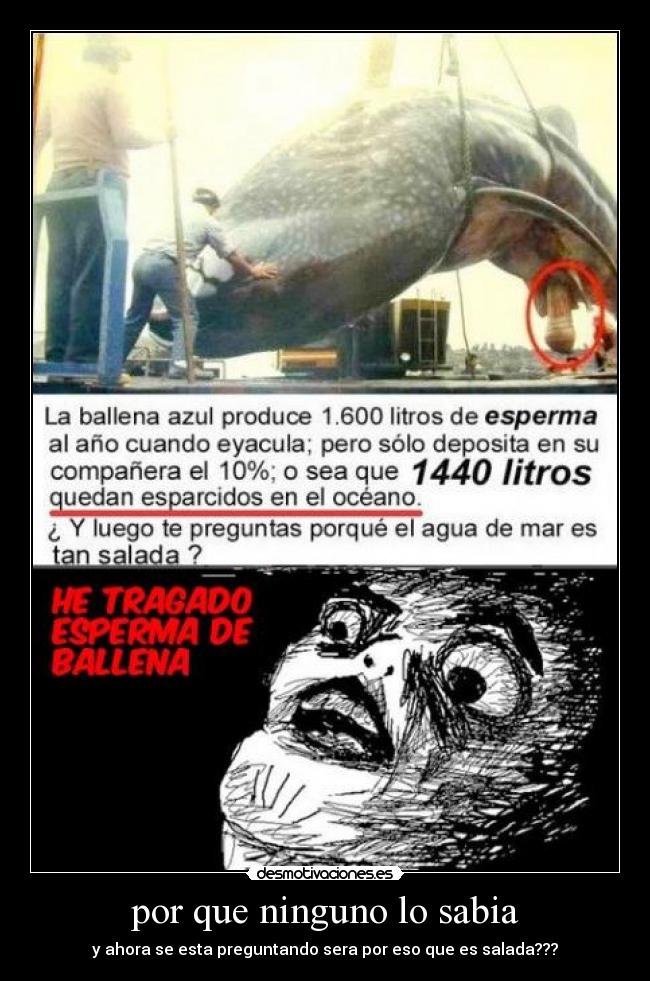 por que ninguno lo sabia - y ahora se esta preguntando sera por eso que es salada???