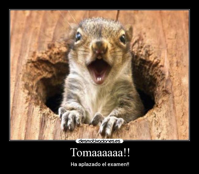Tomaaaaaa!! - Ha aplazado el examen!!