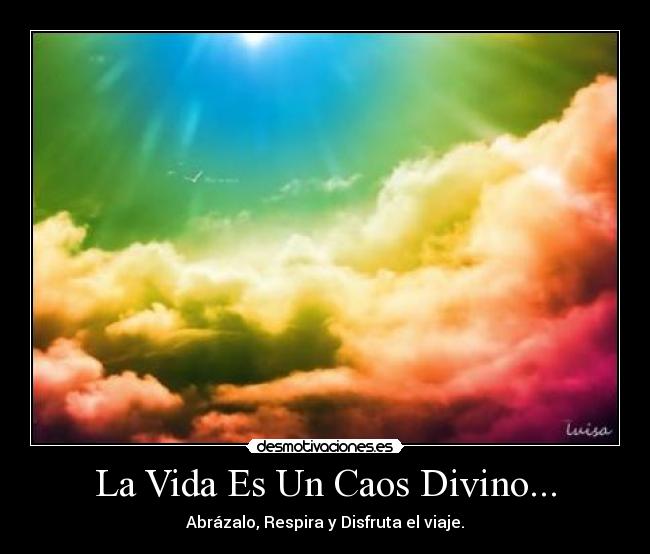 La Vida Es Un Caos Divino... - 