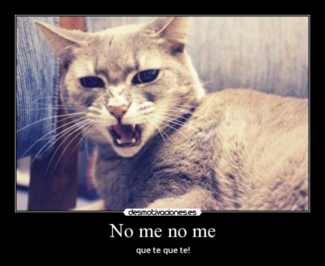 No me no me - que te que te!