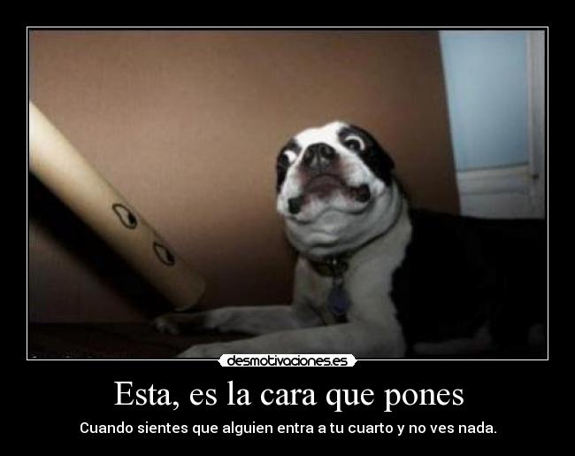 Esta, es la cara que pones - Cuando sientes que alguien entra a tu cuarto y no ves nada.