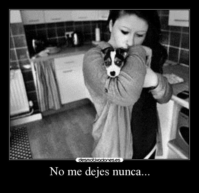 carteles nunca desmotivaciones