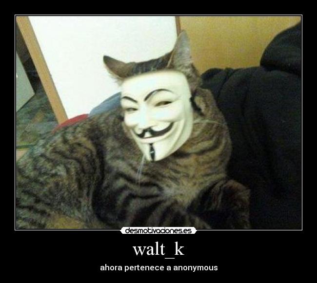 walt_k -