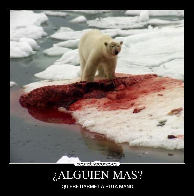 ¿ALGUIEN MAS? - QUIERE DARME LA PUTA MANO