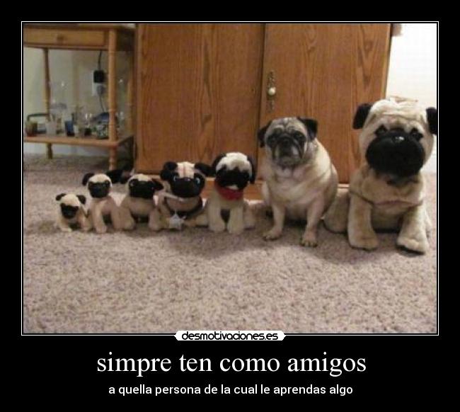 simpre ten como amigos - 