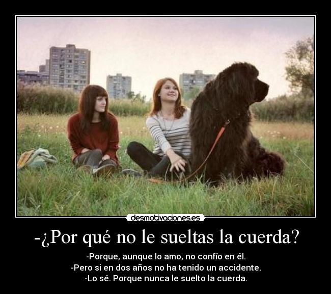 carteles bulma272 marley ewe jesjesjes cartel chorra como dicen tnt desmotivaciones