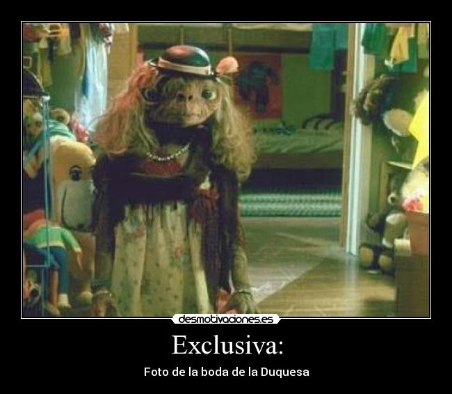 Exclusiva: - 