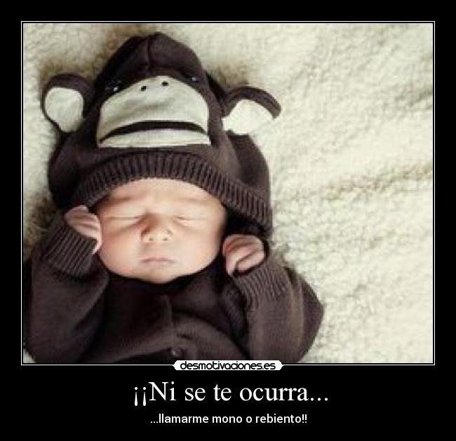 ¡¡Ni se te ocurra... - ...llamarme mono o rebiento!!