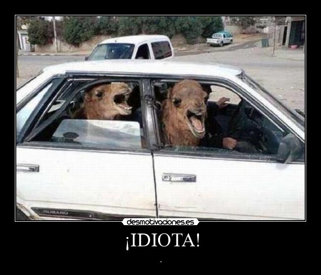¡IDIOTA! - .