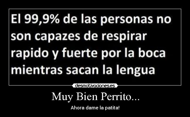 Muy Bien Perrito... -