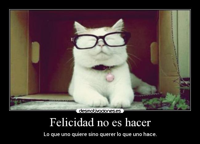 Felicidad no es hacer -