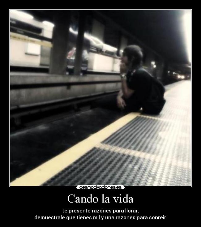 carteles vida stephanie silva moiixex diixenta desmotivaciones