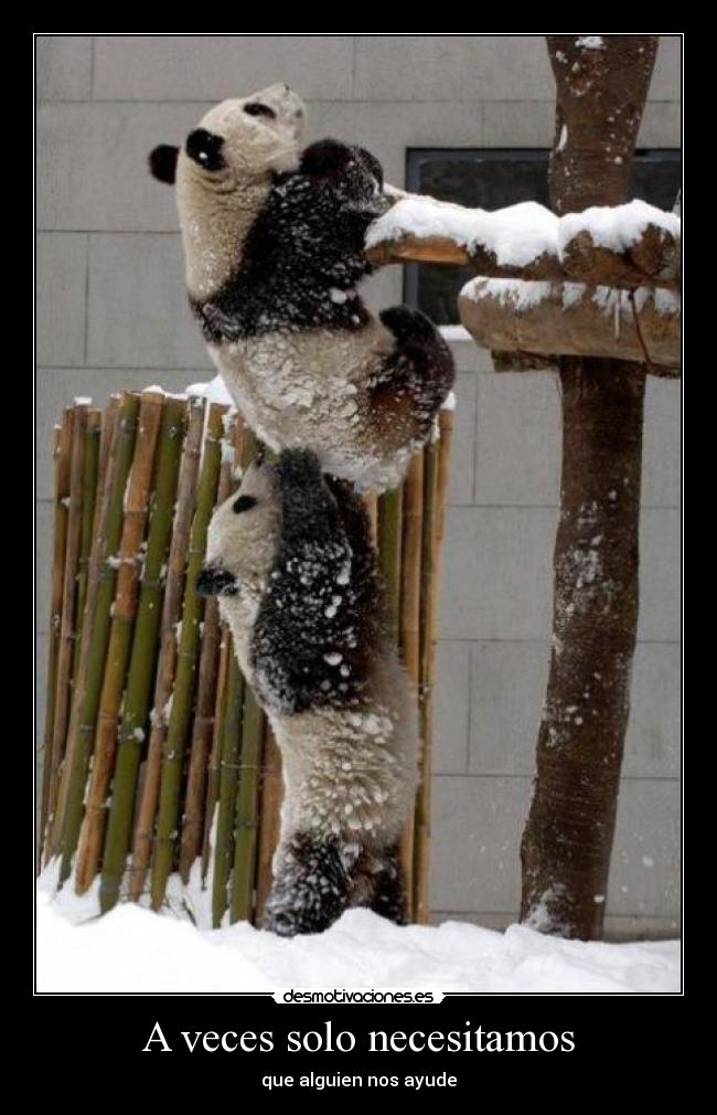 A veces solo necesitamos -