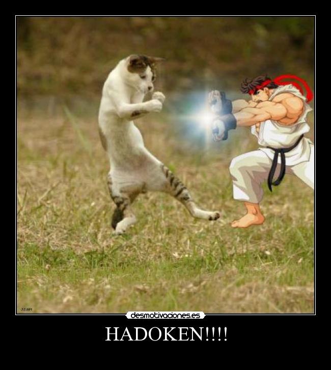 HADOKEN!!!! - 