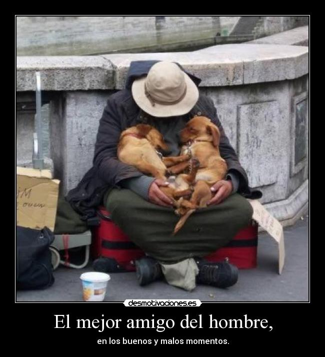 El mejor amigo del hombre, - en los buenos y malos momentos.