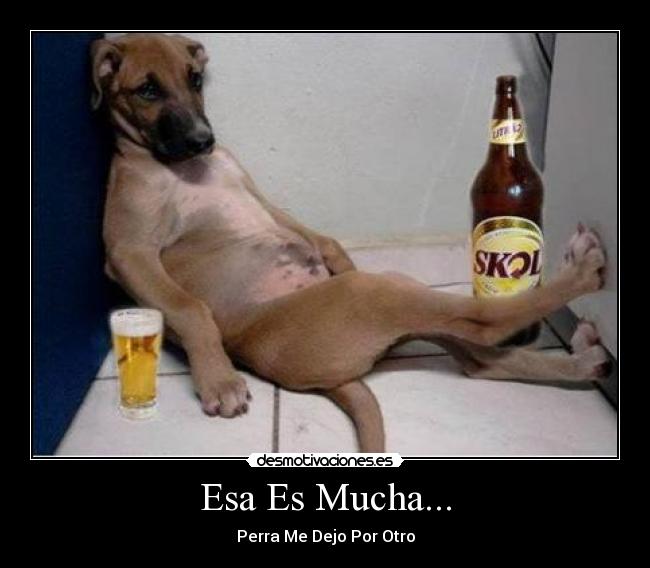 Esa Es Mucha... - Perra Me Dejo Por Otro