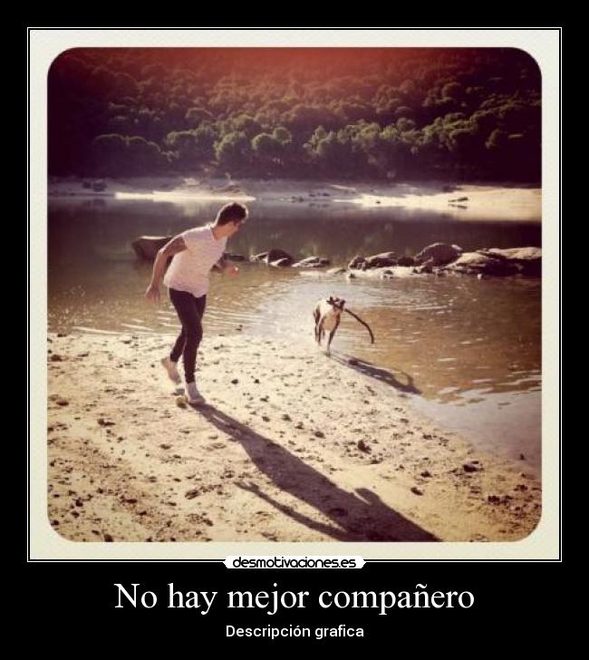 No hay mejor compañero - 