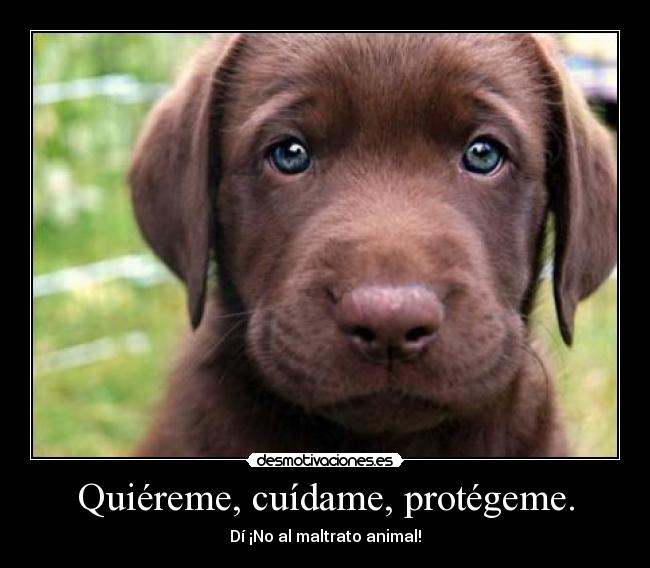Quiéreme, cuídame, protégeme. -