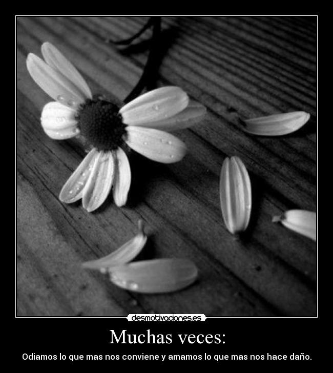 Muchas veces: - 