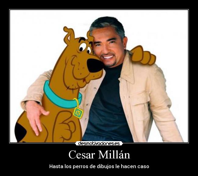 carteles scooby dooby dooooooooooooooooooooooooooooooo grralleta desmotivaciones