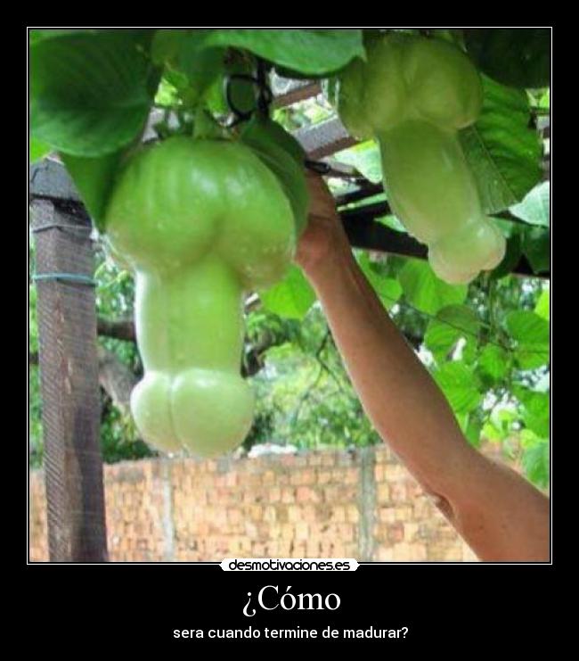 ¿Cómo - sera cuando termine de madurar?
