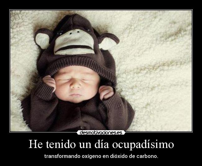 He tenido un día ocupadísimo - transformando oxígeno en dióxido de carbono.