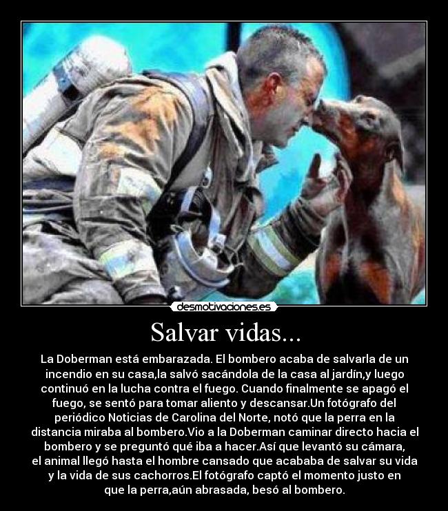 Salvar vidas... -