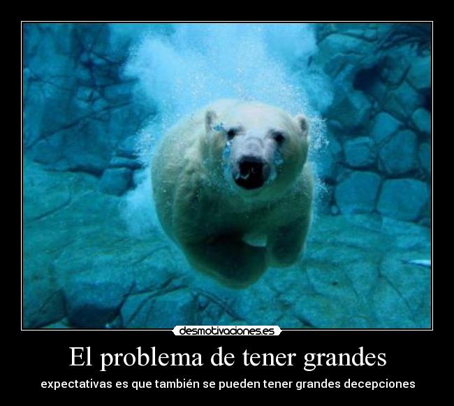 El problema de tener grandes - expectativas es que también se pueden tener grandes decepciones